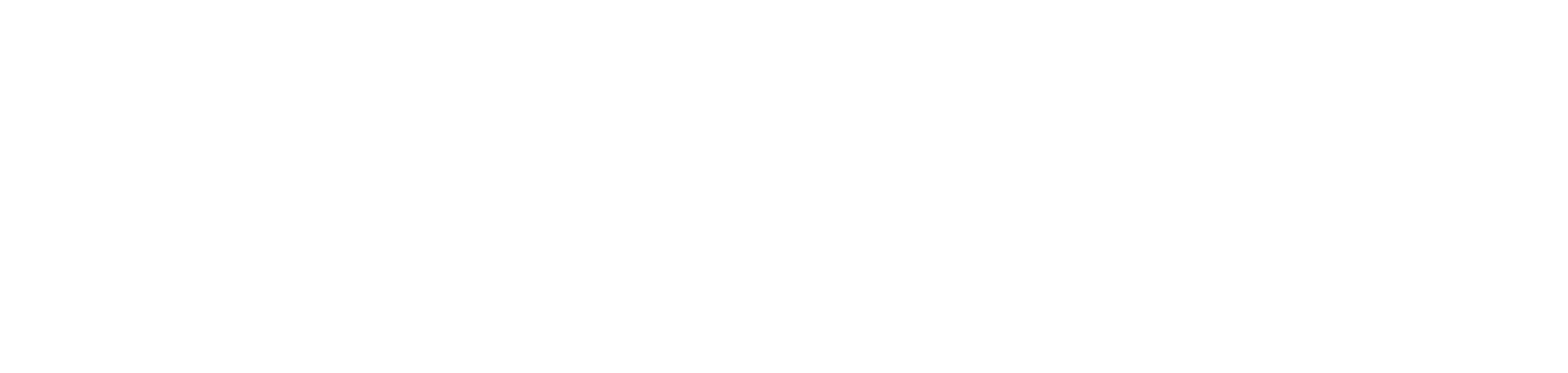 BIAŁY LOGOTYP KOLO MOBILE