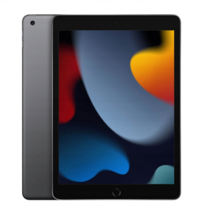 Apple iPad 9 gen. 64 GB szary Wi-Fi szary